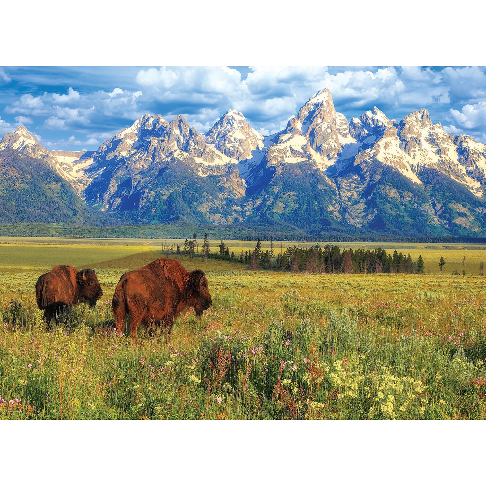 Angle. Eurographics - Grand Teton National Park Puzzle, 1000 Pieces.