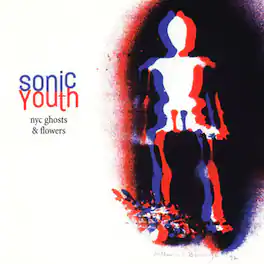 Sonic Youth - NYC Ghosts & Flowers - VINYL LP