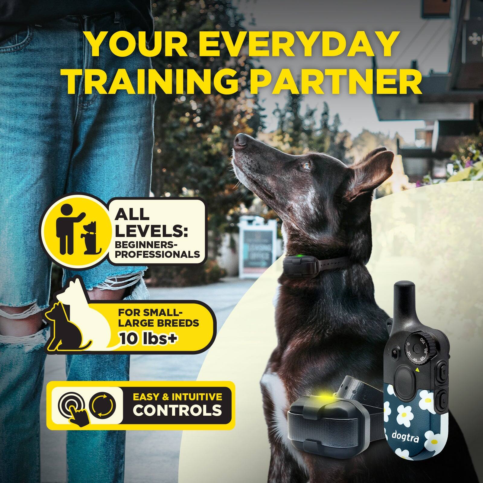 YOUR EVERYDAY TRAINING PARTNER

ALL LEVELS: BEGINNERS- PROFESSIONALS

FOR SMALL- LARGE BREEDS 10 lbs+

EASY & INTUITIVE CONTROLS

dogtra