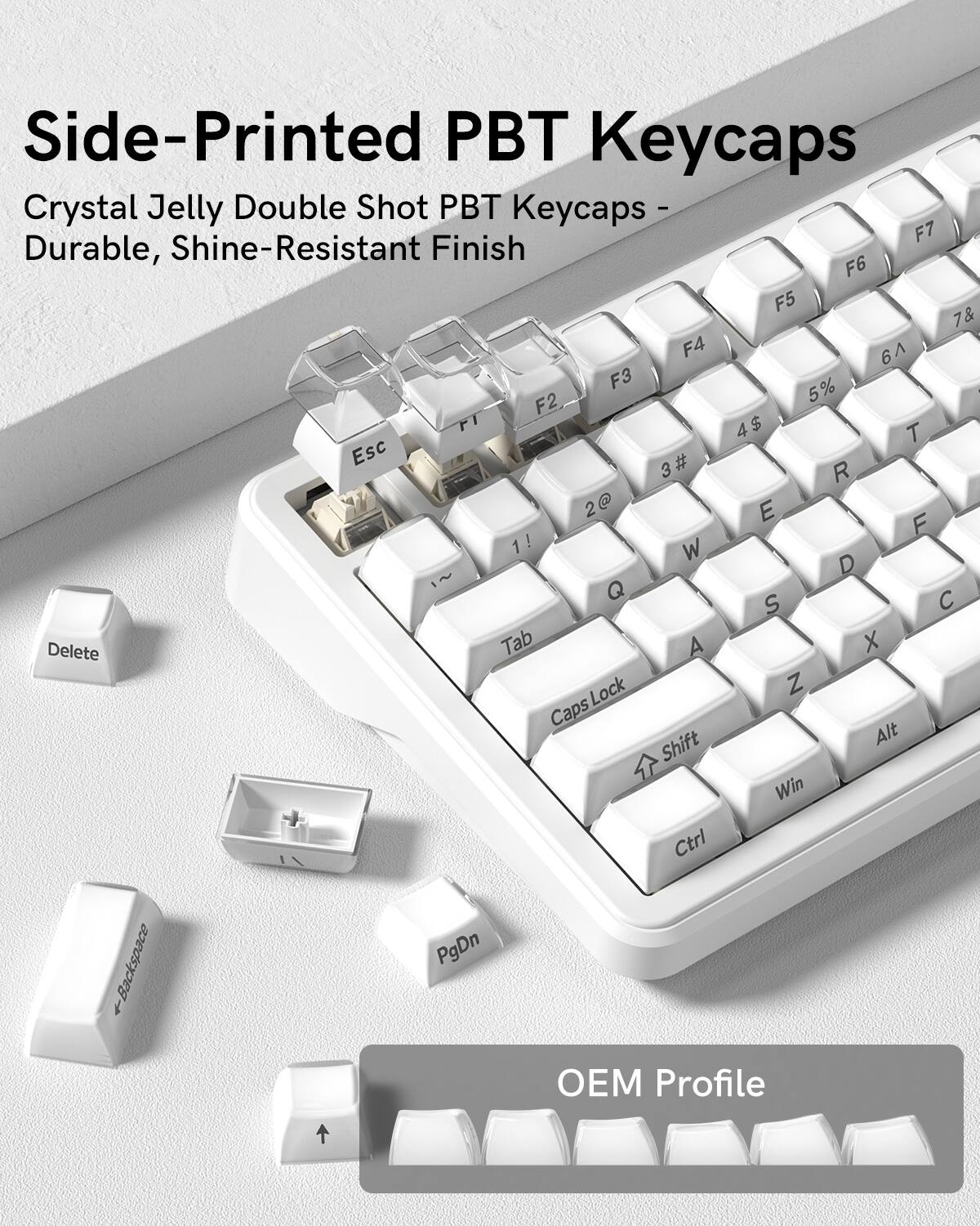 Side-Printed PBT Keycaps  
Crystal Jelly Double Shot PBT Keycaps - Durable, Shine-Resistant Finish  

OEM Profile