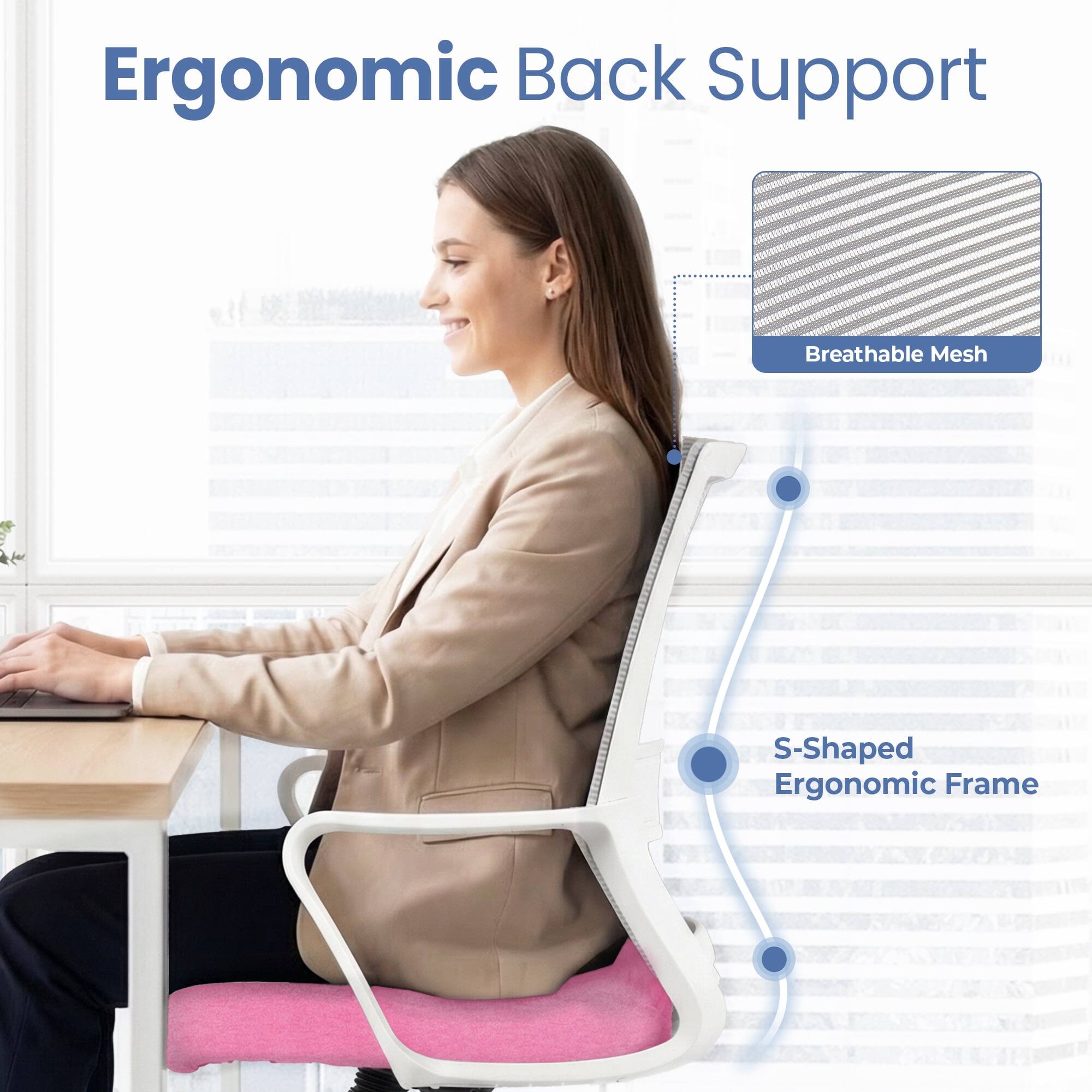 Ergonomic Back Support

- Breathable Mesh
- S-Shaped Ergonomic Frame