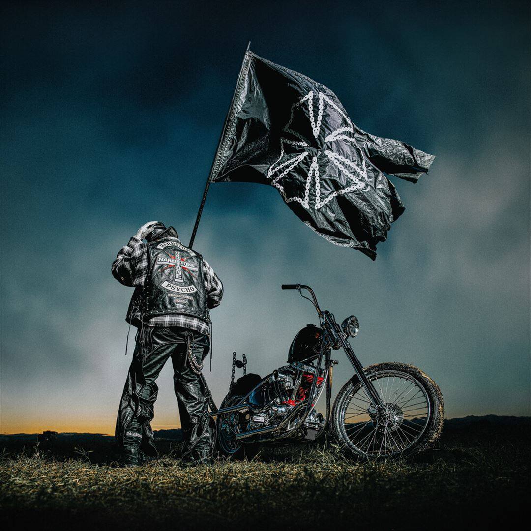 HARDSTONE PSYCHO [LP] [VINYL]