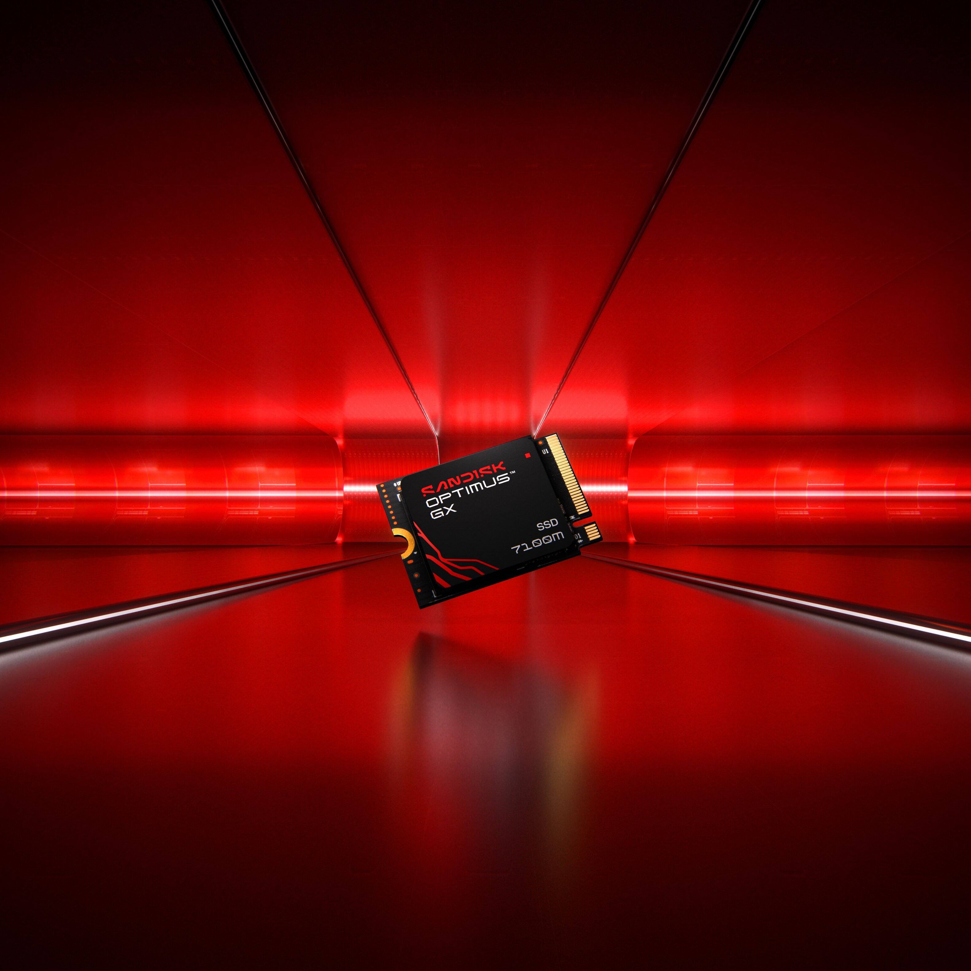 SANDISK GX SSD  
710GB  
OPTIMUS