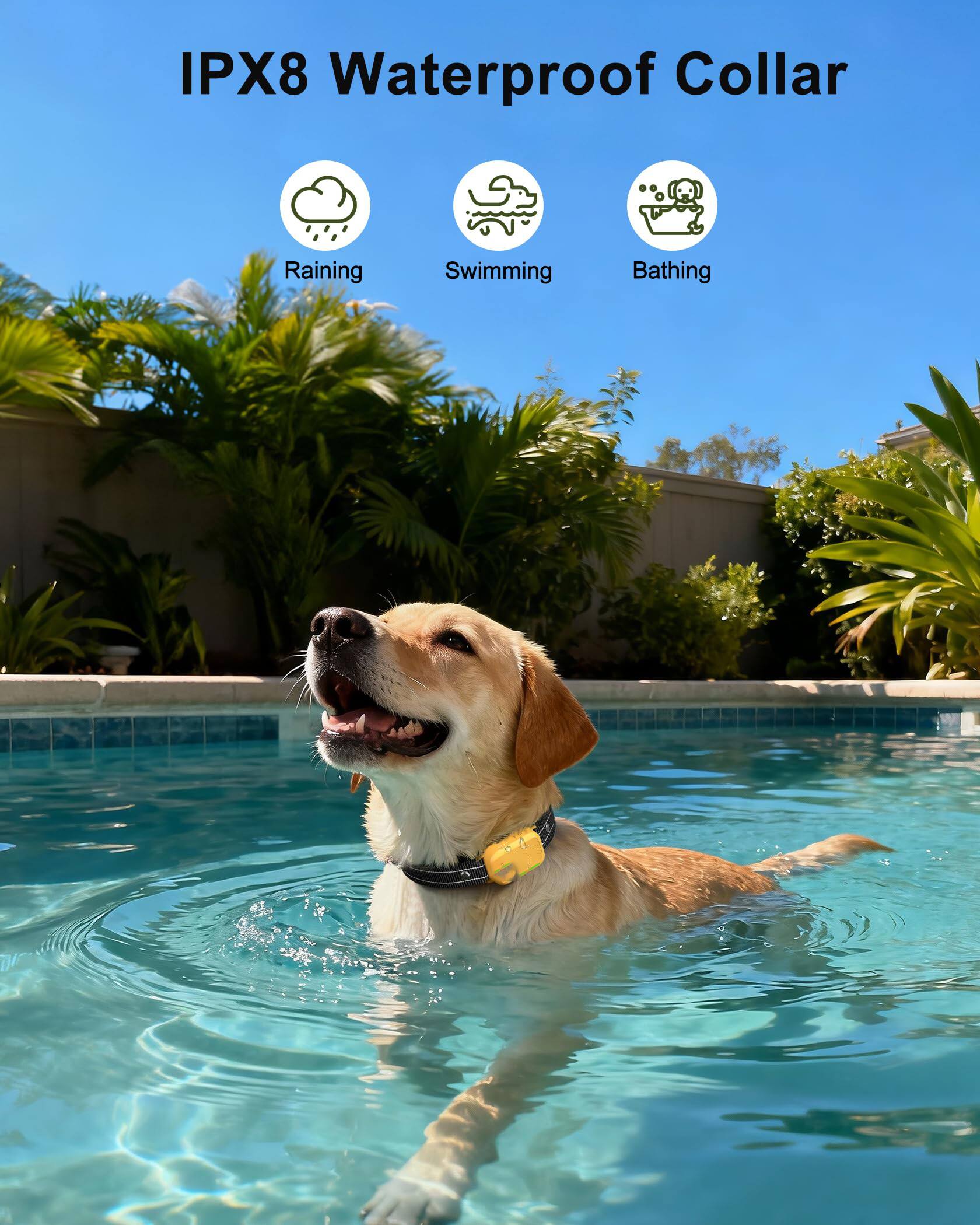 IPX8 Waterproof Collar

- Raining
- Swimming
- Bathing