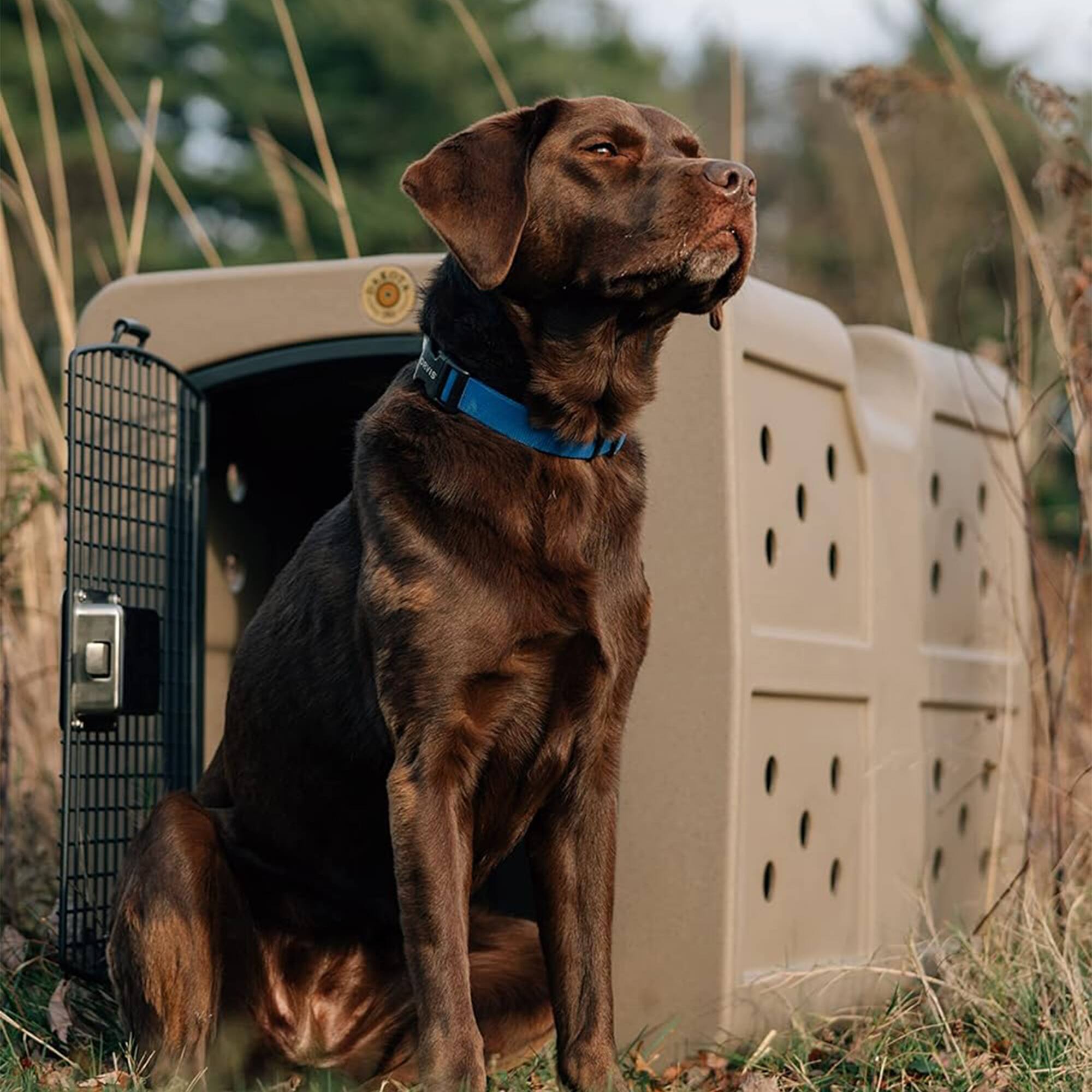 Alt View 2. Dakota 283 - Dakota 283 G3 Large Easy to Clean Dog Kennel w/ Handle & Latching Door, Olive.