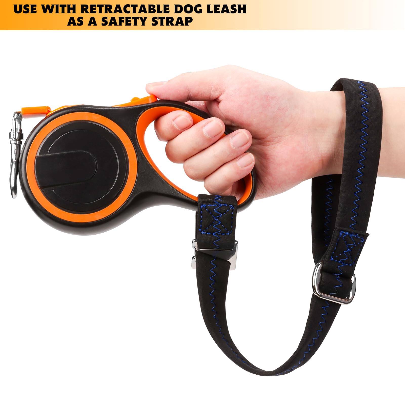 Paradigms Interiors Safety Wrist Strap Or Dog Leash Second Layer ...