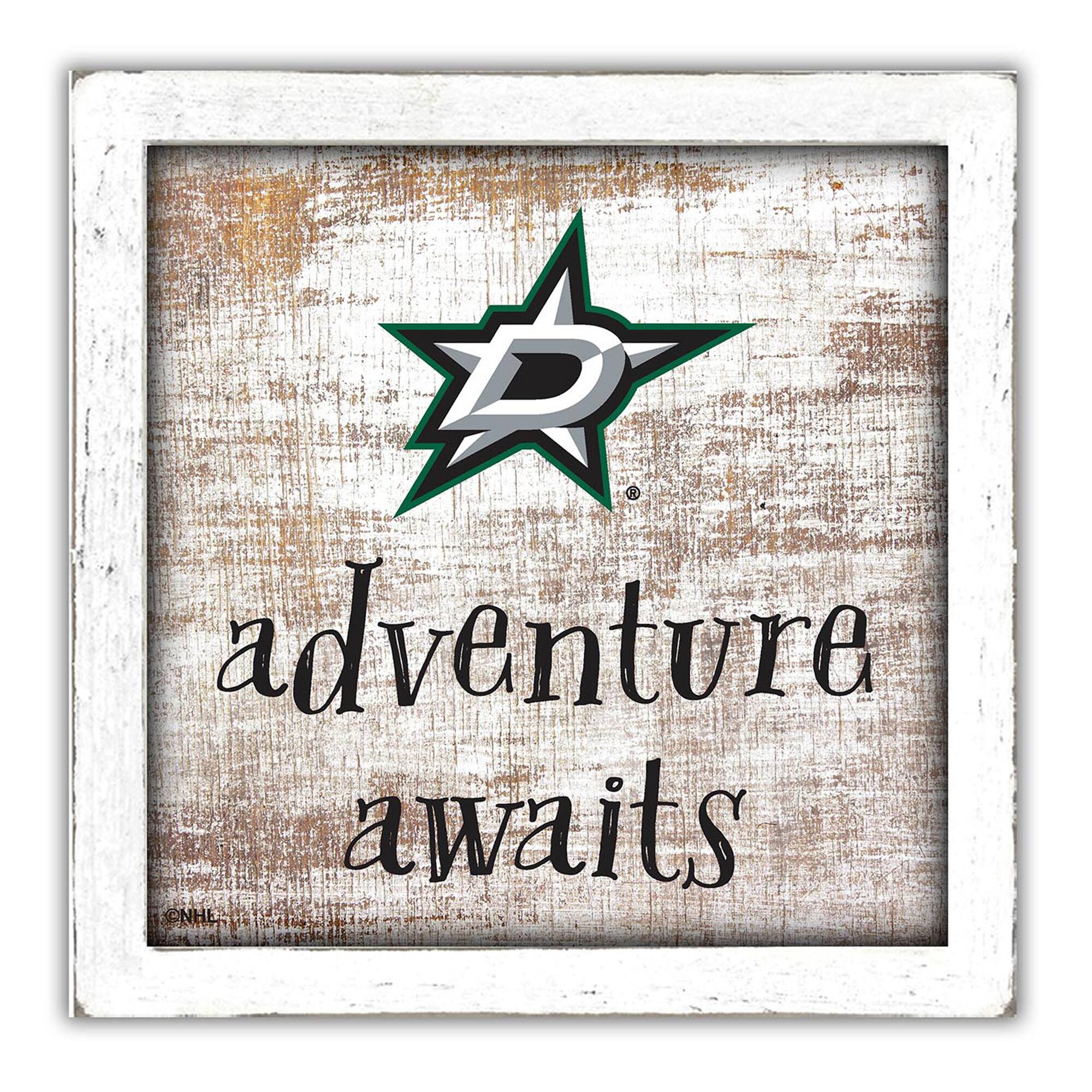 Dallas Stars 14'' x 13'' Adventure Awaits Money Box