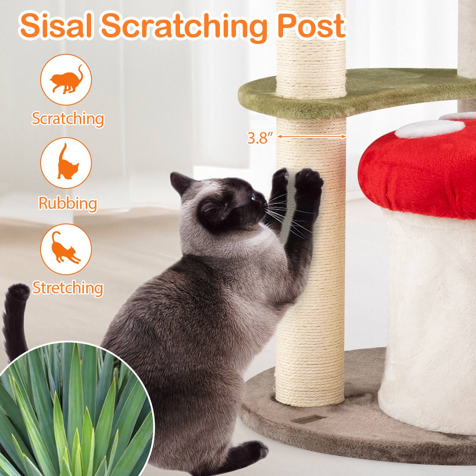 Sisal Scratching Post

- Scratching
- Rubbing
- Stretching

3.8"