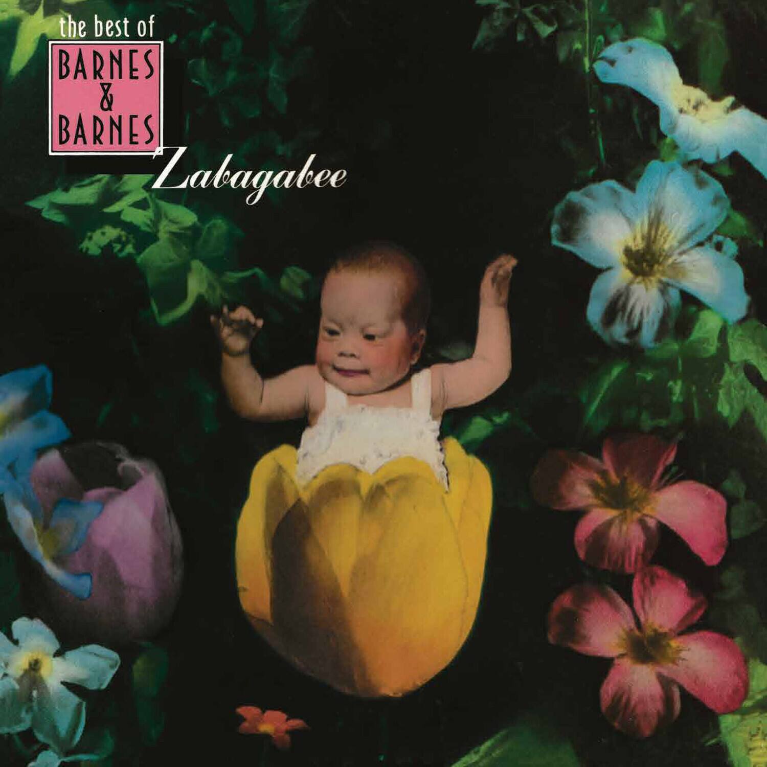 Barnes & Barnes - Zabagabee: The Best Of Barnes & Barnes   - VINYL LP price history on PriceWatchPro
