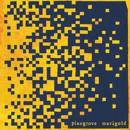 Pinegrove - Marigold - VINYL LP
