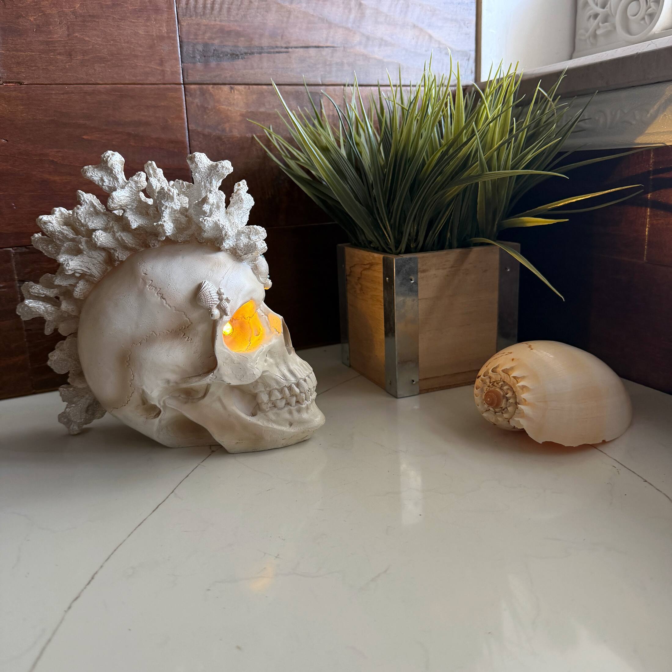 Alt View 5. Fancy That - Illuminated Coastal Statue LED Eyes Coral Resin 7.5 Inch Gothic Decor - Off-white.