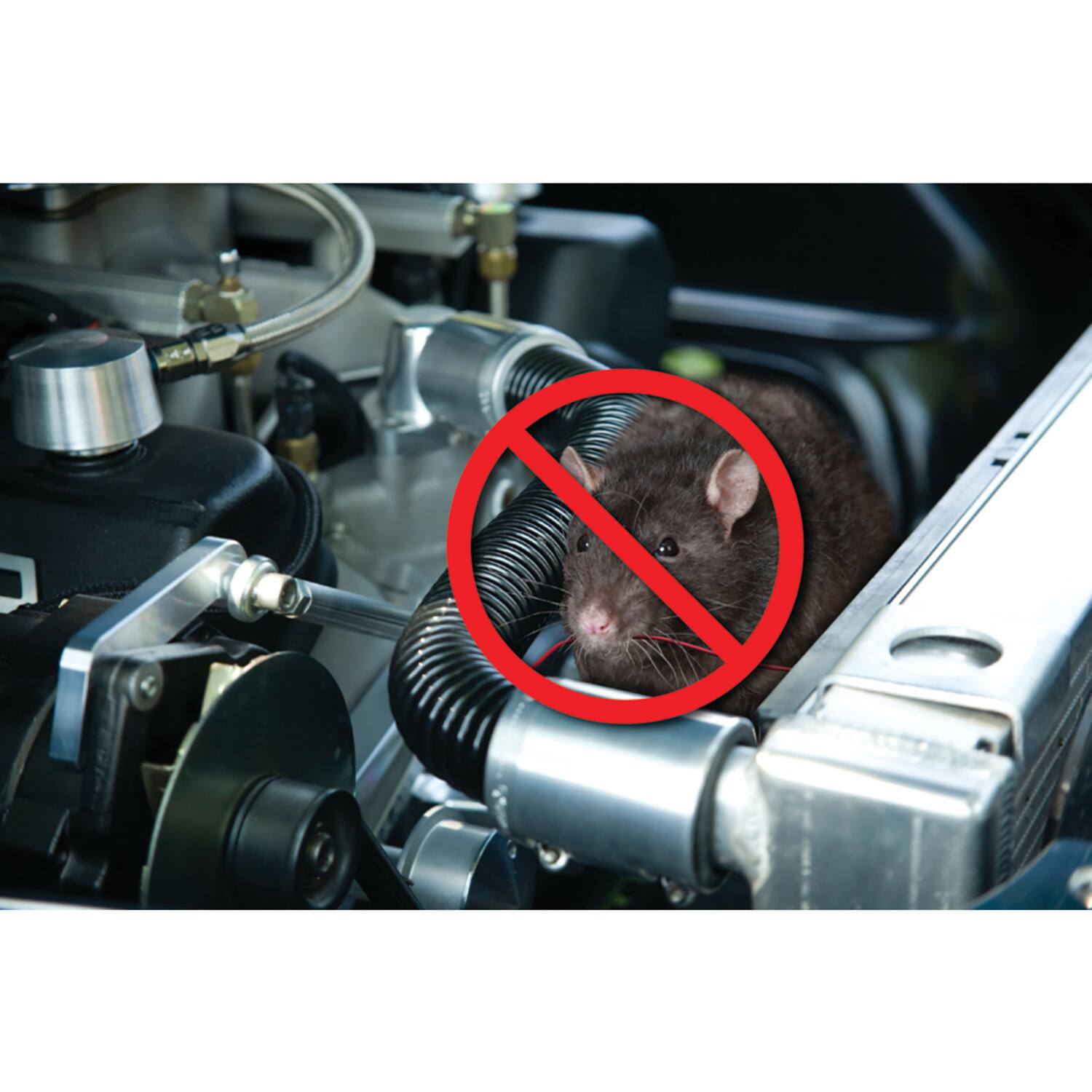 Angle. P3 International - Underhood Animal Chaser Electronic Pest Control - Black.