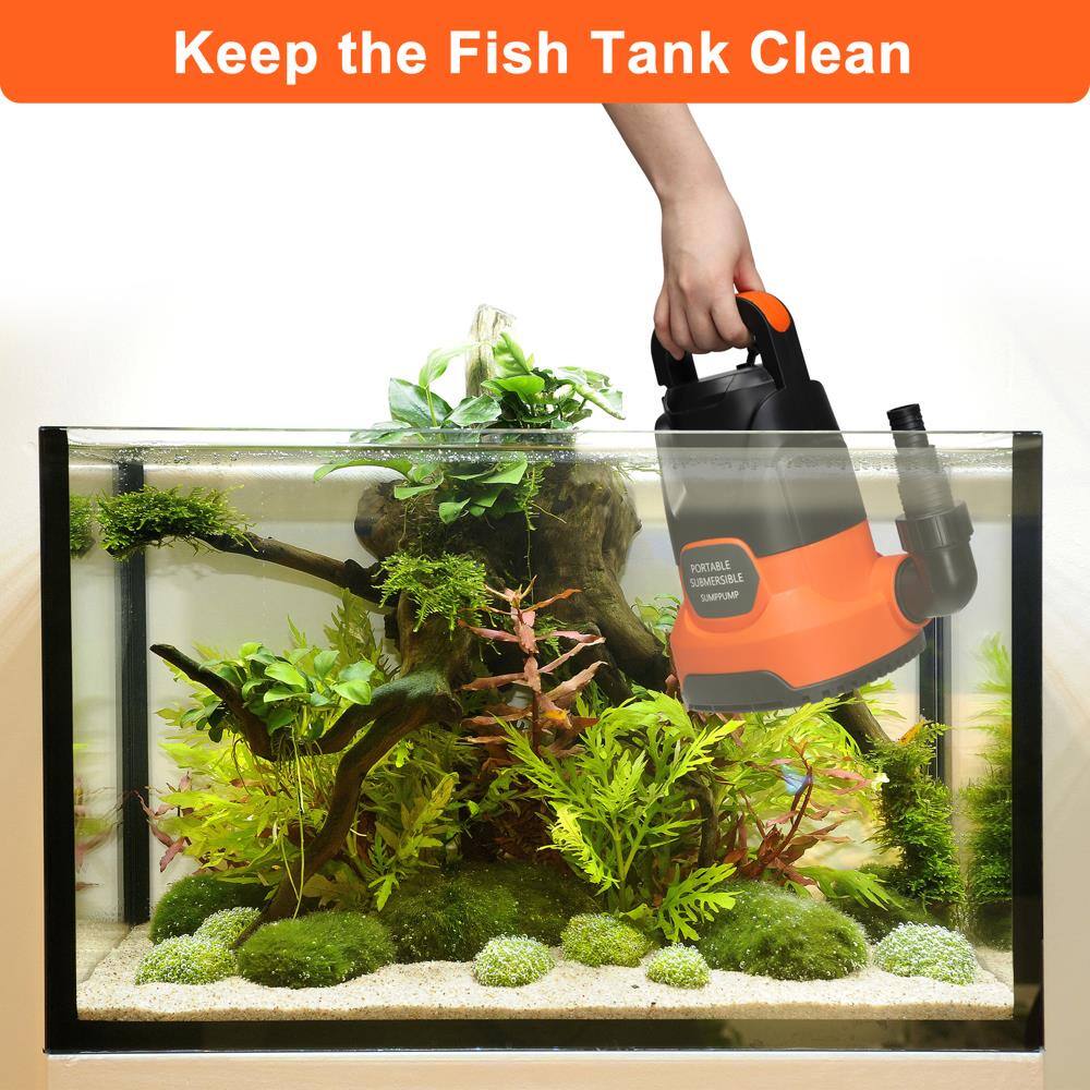Keep the Fish Tank Clean

PORTABLE SUBMERSIBLE SUMPUMP