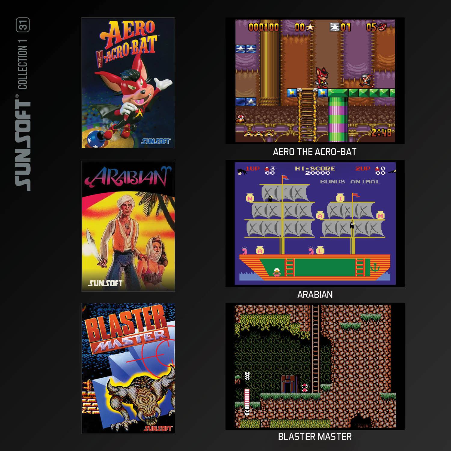 31 1 COLLECTION SUNSOFT AERO ACRO-BAT BAT T ACRO SUNSOFT ARABIAN 000100 D0 0 05. 10 AERO THE ACRO-BAT LUP 5 HI SCORE ZUP 06 20000 0 BONUS ANIMAL  SUNSOFT BLASTER MASTER ARABIAN JSUNSOFT CON