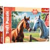 Trefl Puzzle
200
Trefl
7+