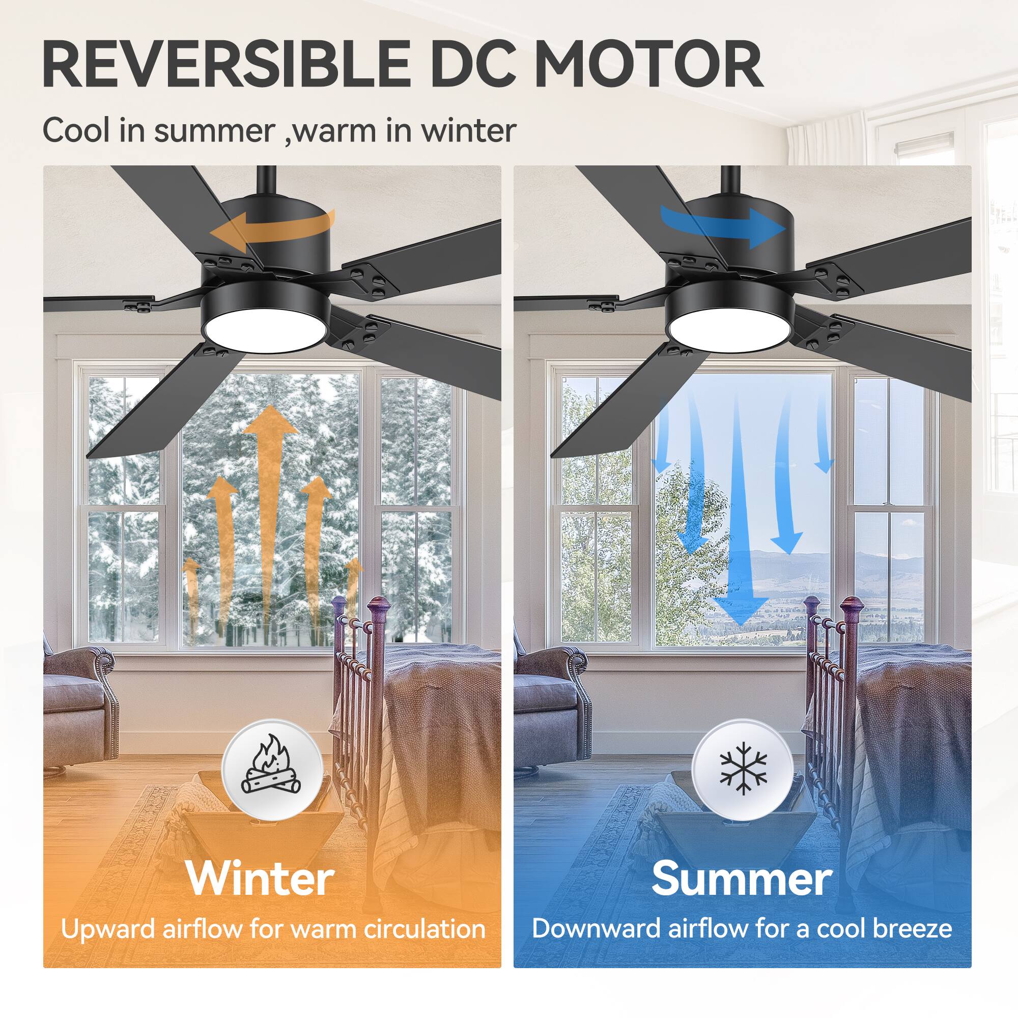 REVERSIBLE DC MOTOR  
Cool in summer, warm in winter  

Winter  
Upward airflow for warm circulation  

Summer  
Downward airflow for a cool breeze