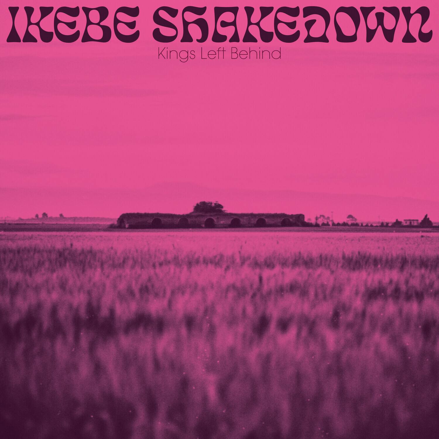 Ikebe Shakedown - Kings Left Behind  - CASSETTES