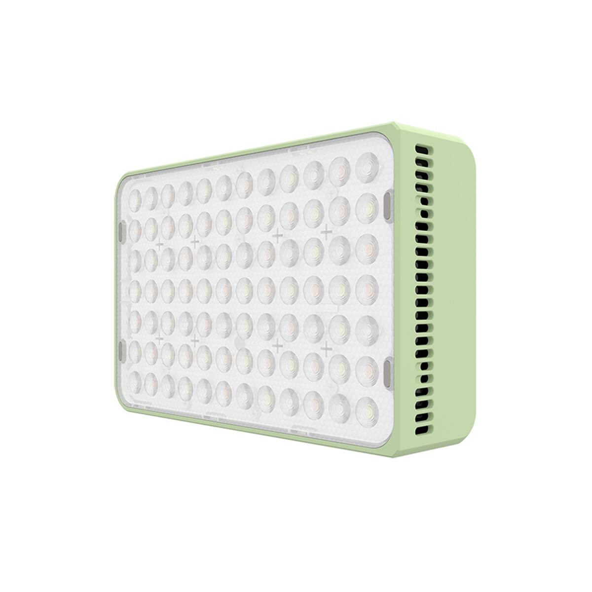 Front. Amaran - amaran Amaran Ace 25c.