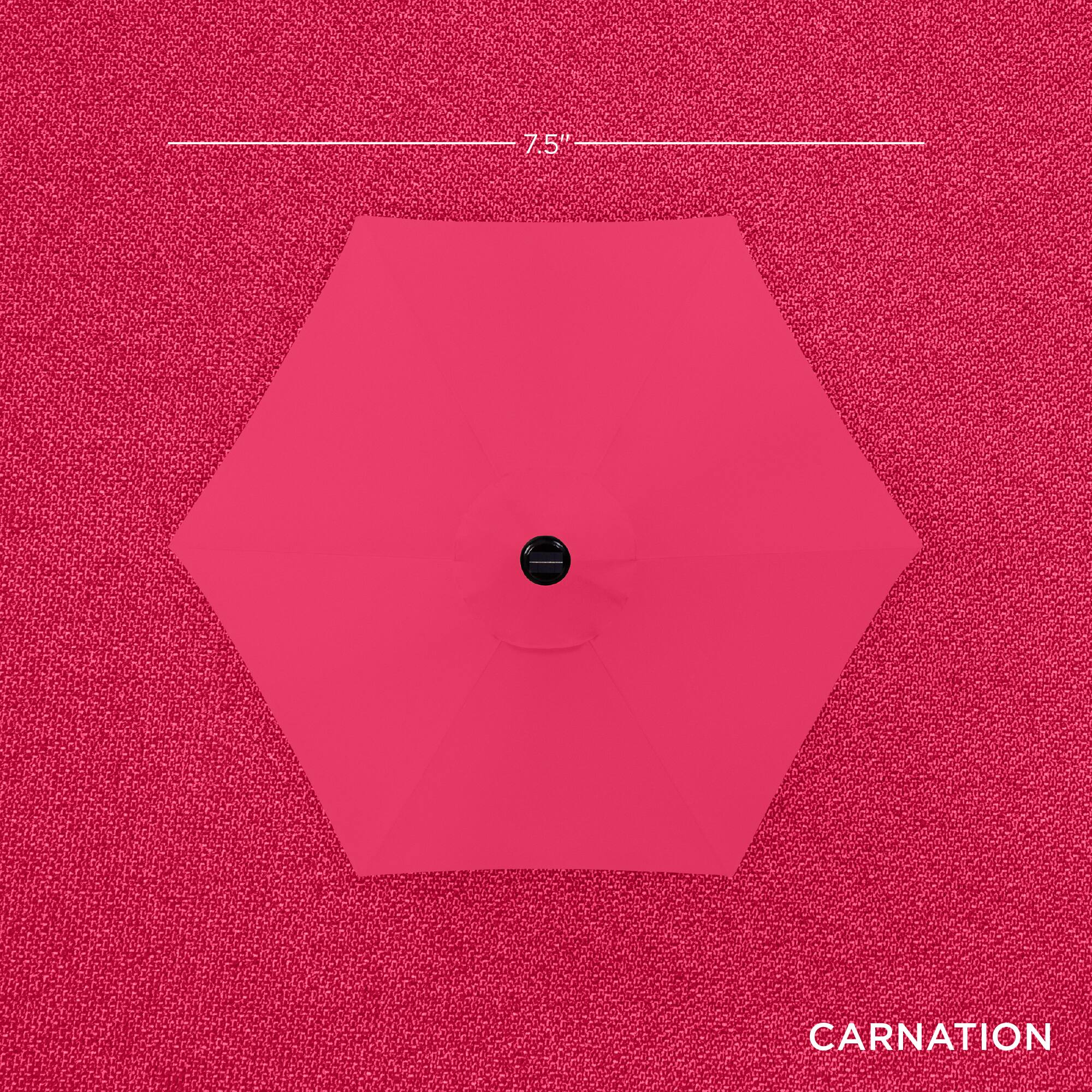The text on the image is "7.5" CARNATION."