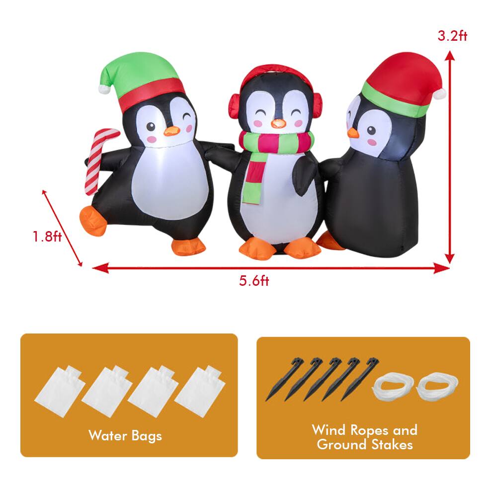 3.2ft  
1.8ft  
5.6ft  
Water Bags  
Wind Ropes and Ground Stakes