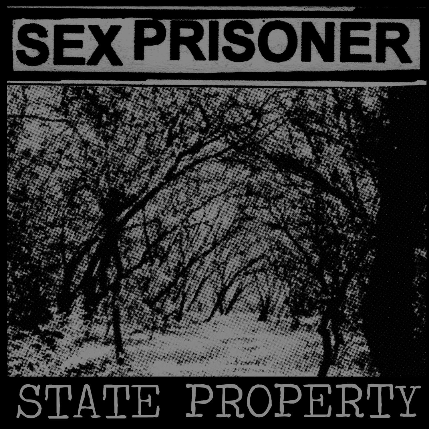 SEX PRISONER  
STATE PROPERTY