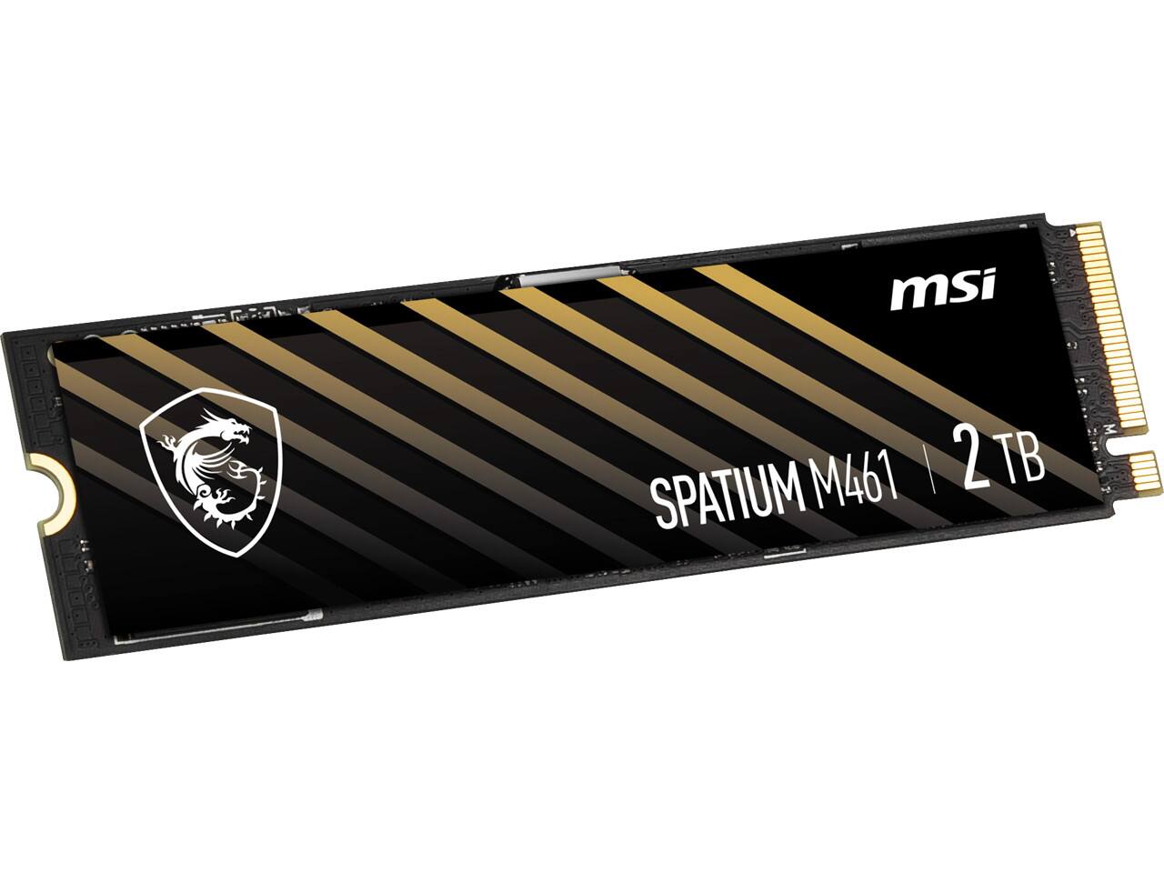MSI SPATIUM M461 | 2 TB