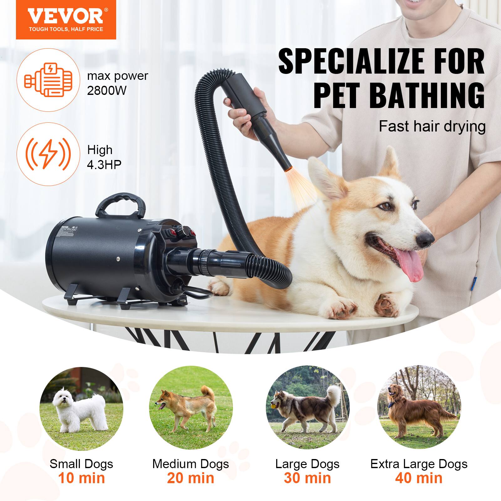 VEVOR TOUGH TOOLS, HALF PRICE  
max power 2800W  
High 4.3HP  

SPECIALIZE FOR PET BATHING  
Fast hair drying  

Small Dogs 10 min  
Medium Dogs 20 min  
Large Dogs 30 min  
Extra Large Dogs 40 min