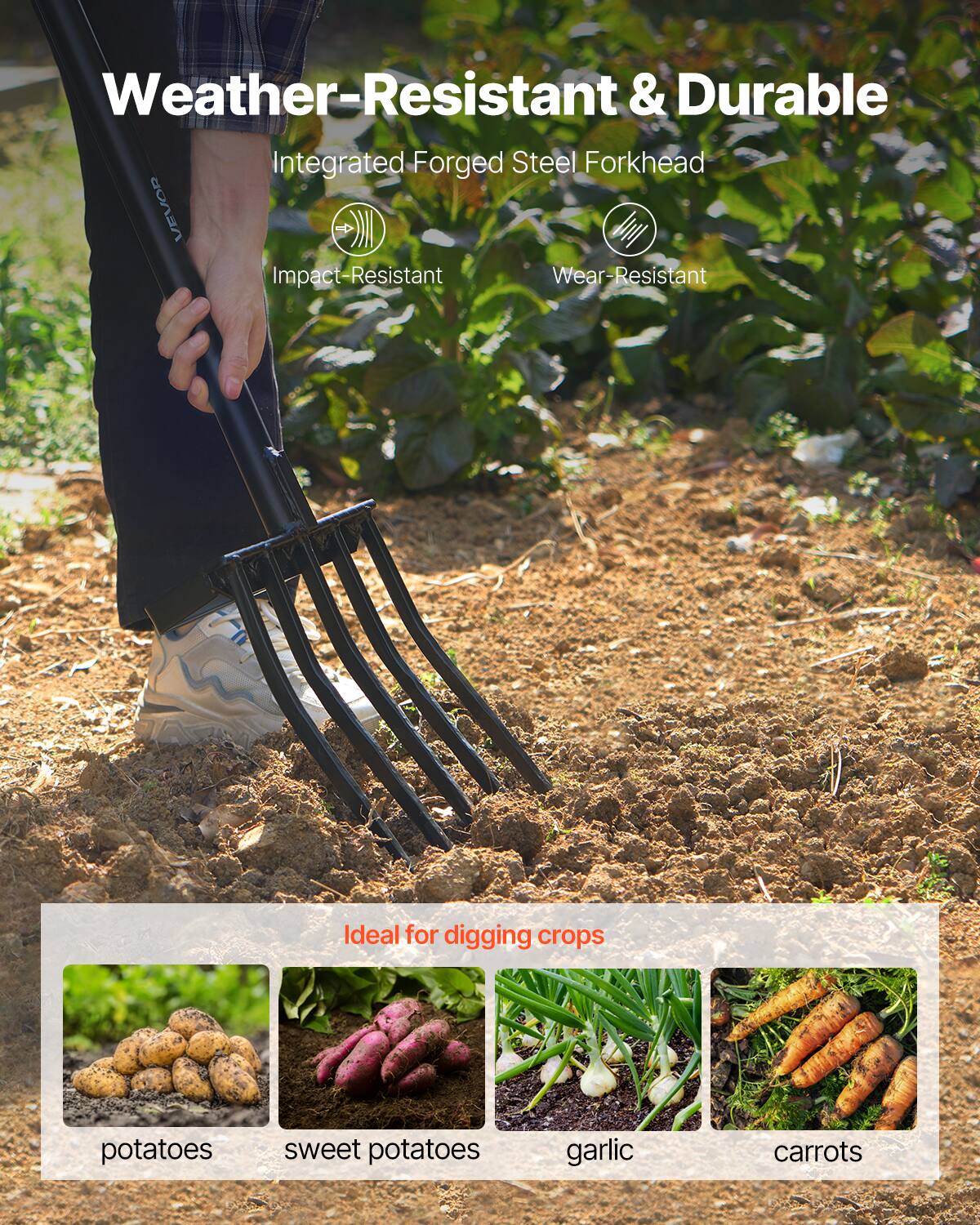 Weather-Resistant & Durable  
Integrated Forged Steel Forkhead  
Impact-Resistant  
Wear-Resistant  

Ideal for digging crops  
potatoes  
sweet potatoes  
garlic  
carrots