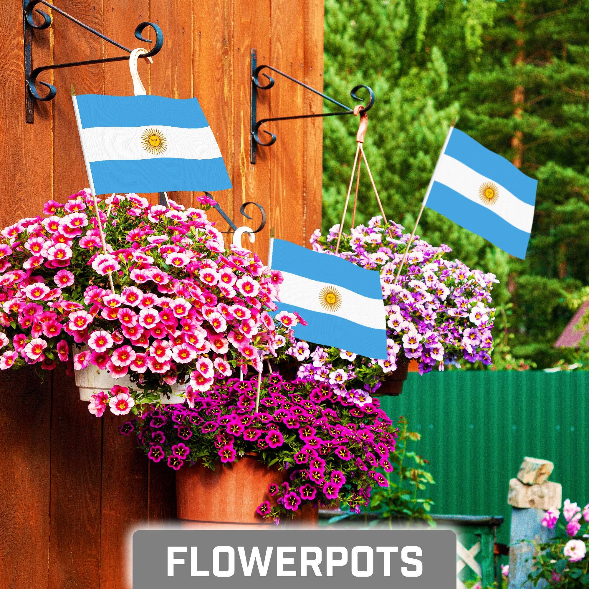 Angle. G128 - 24-Pack Handheld Argentina Stick Flags, 8 x 12 in, 150D Polyester with Wooden Pole and Gold Spear Tip. - Assorted Colors.