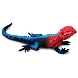 Safari Ltd. - Mwanza Flat-Headed Rock Agama Toy Figurine