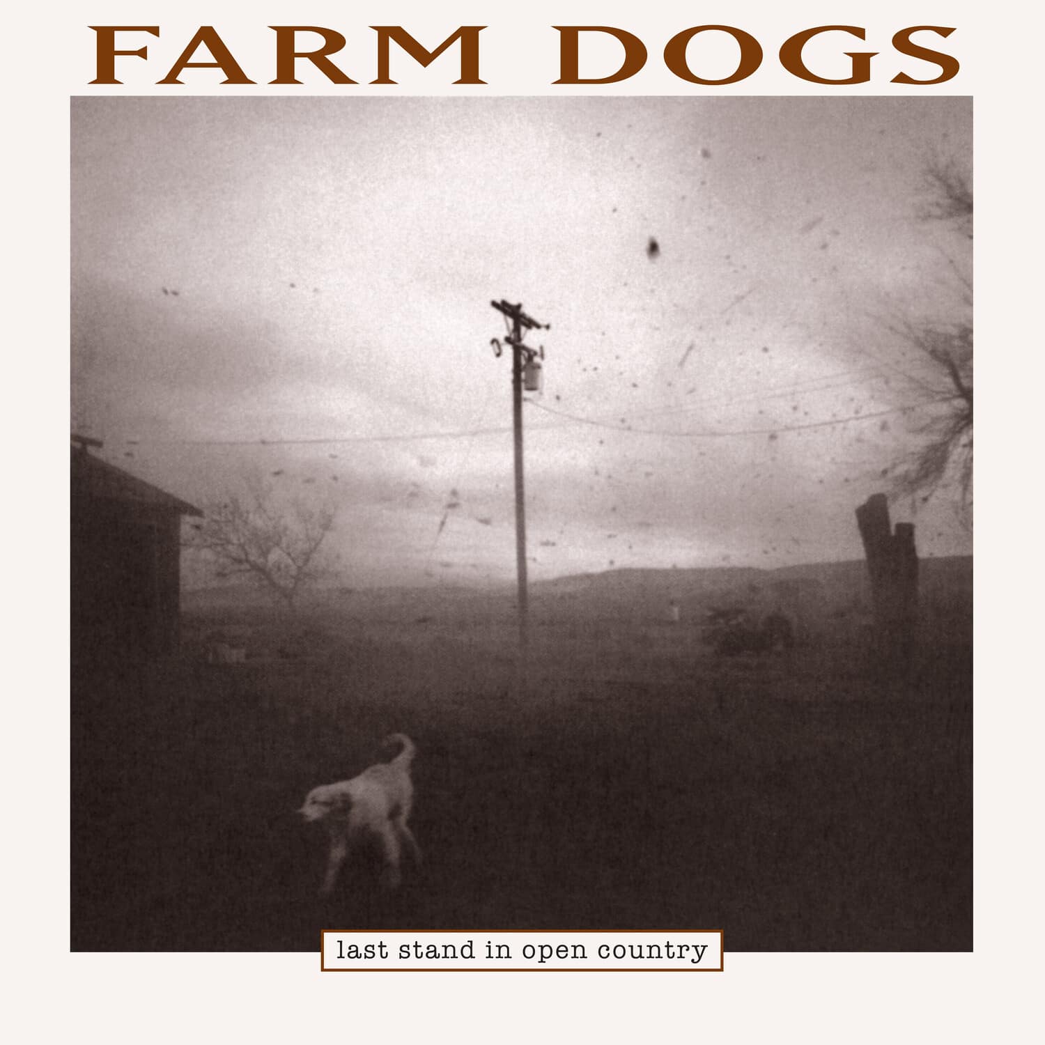 Farm Dogs - Last Stand In Open Country   - VINYL LP price history on PriceWatchPro