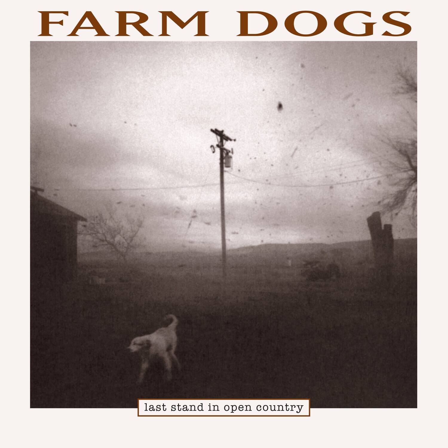 FARM DOGS  
last stand in open country