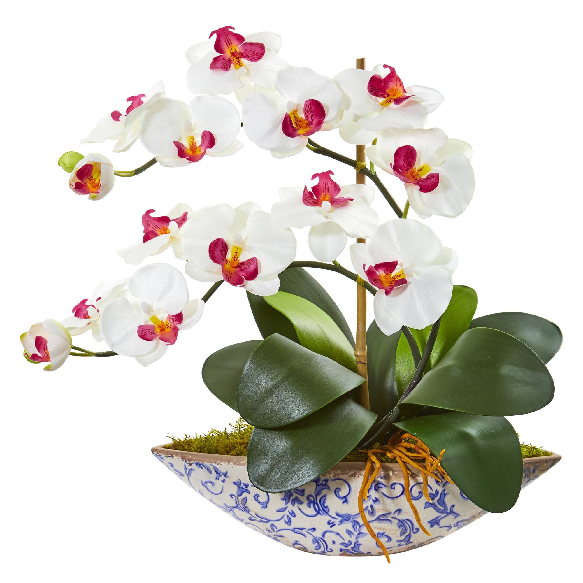 Front. BreeBe - 16" Phalaenopsis Orchid Artificial Arrangement in Vase - White.