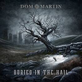 Dom Martin - Buried In The Hail - VINYL LP