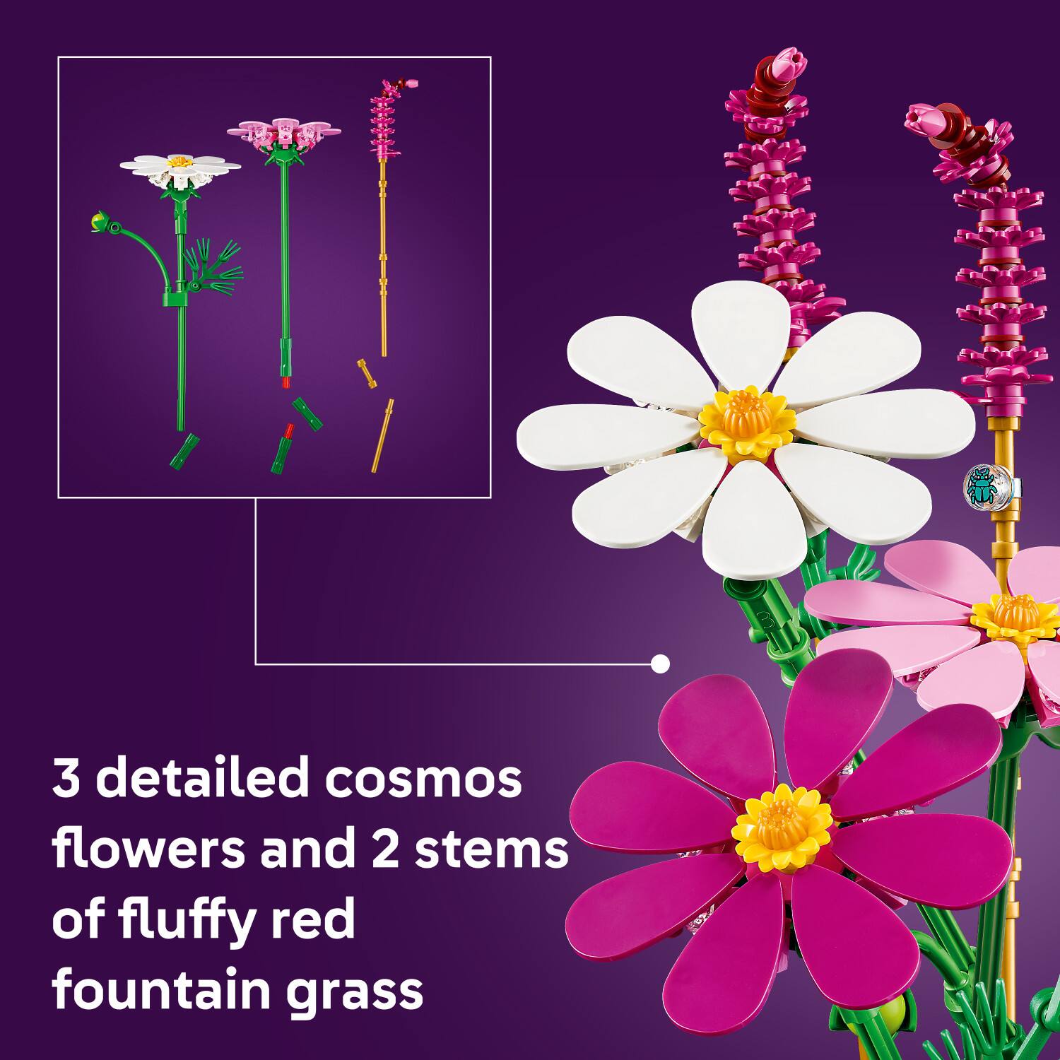 3 detailed cosmos flowers and 2 stems of fluffy red fountain grass