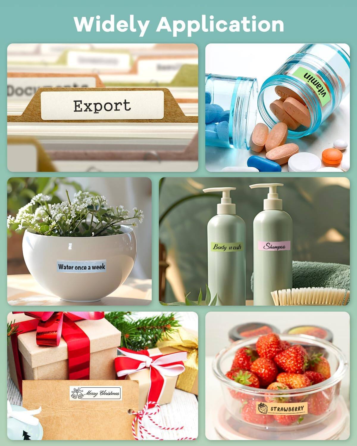 Widely Application

- Export
- Vitamin
- Body wash
- Shampoo
- Water once a week
- Merry Christmas
- Strawberry