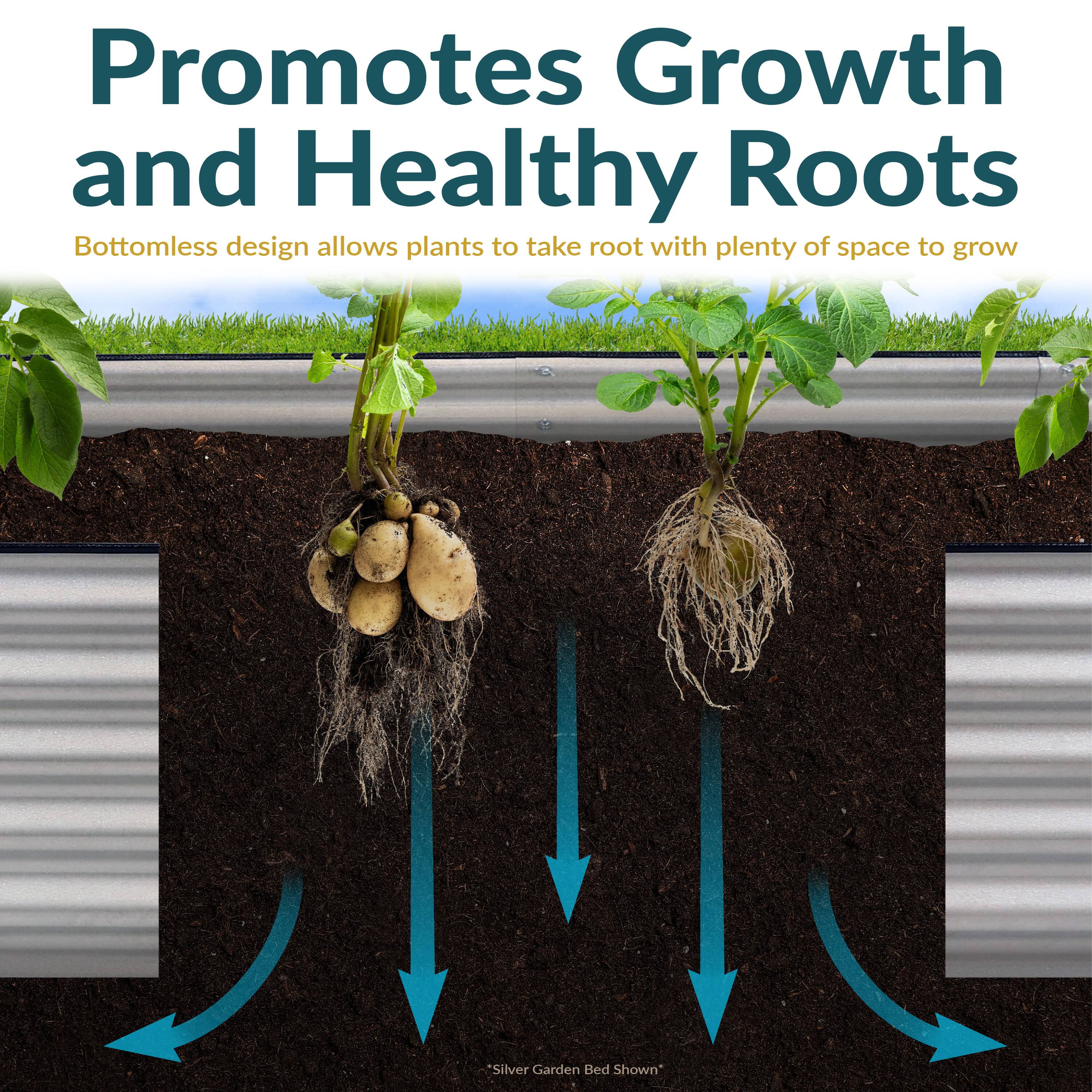 Promotes Growth and Healthy Roots

Bottomless design allows plants to take root with plenty of space to grow

*Silver Garden Bed Shown*