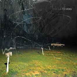 Yo La Tengo - This Stupid World - VINYL LP
