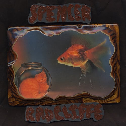 Spencer Radcliffe - Looking in   - COMPACT DISCS [CD] price history on PriceWatchPro