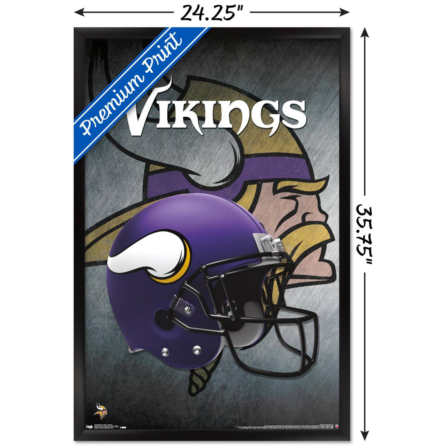 24.25" x 35.75"  
Premium Print  
VIKINGS