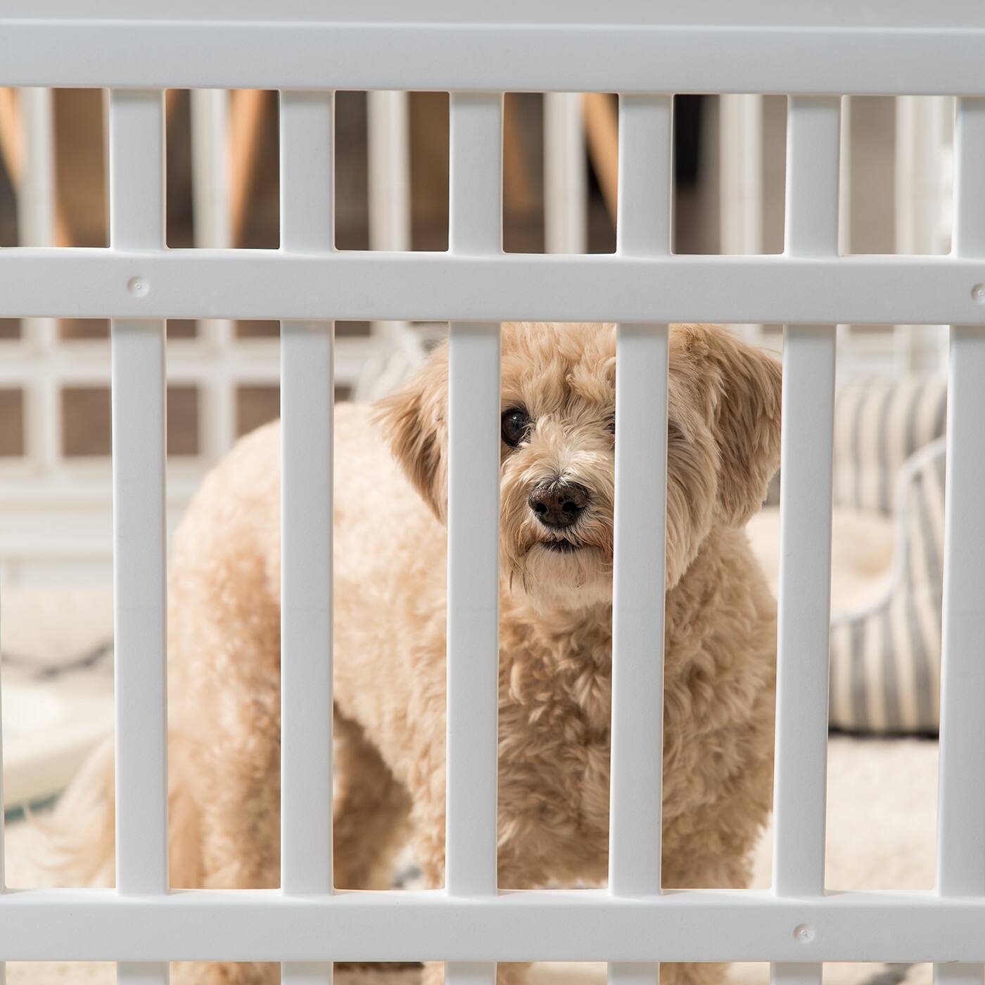 Alt View 4. IRIS USA - IRIS USA 24" Exercise 4-Panel Pet Playpen, Dog Playpen for Puppy Small Dogs Keep Pets Secure Easy Assemble Easy Storing.