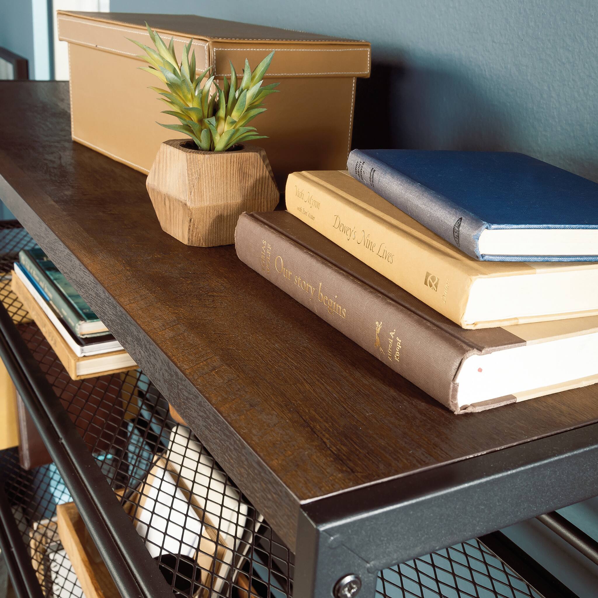 Our story begins with the Nine Lives of Jynx Donry.