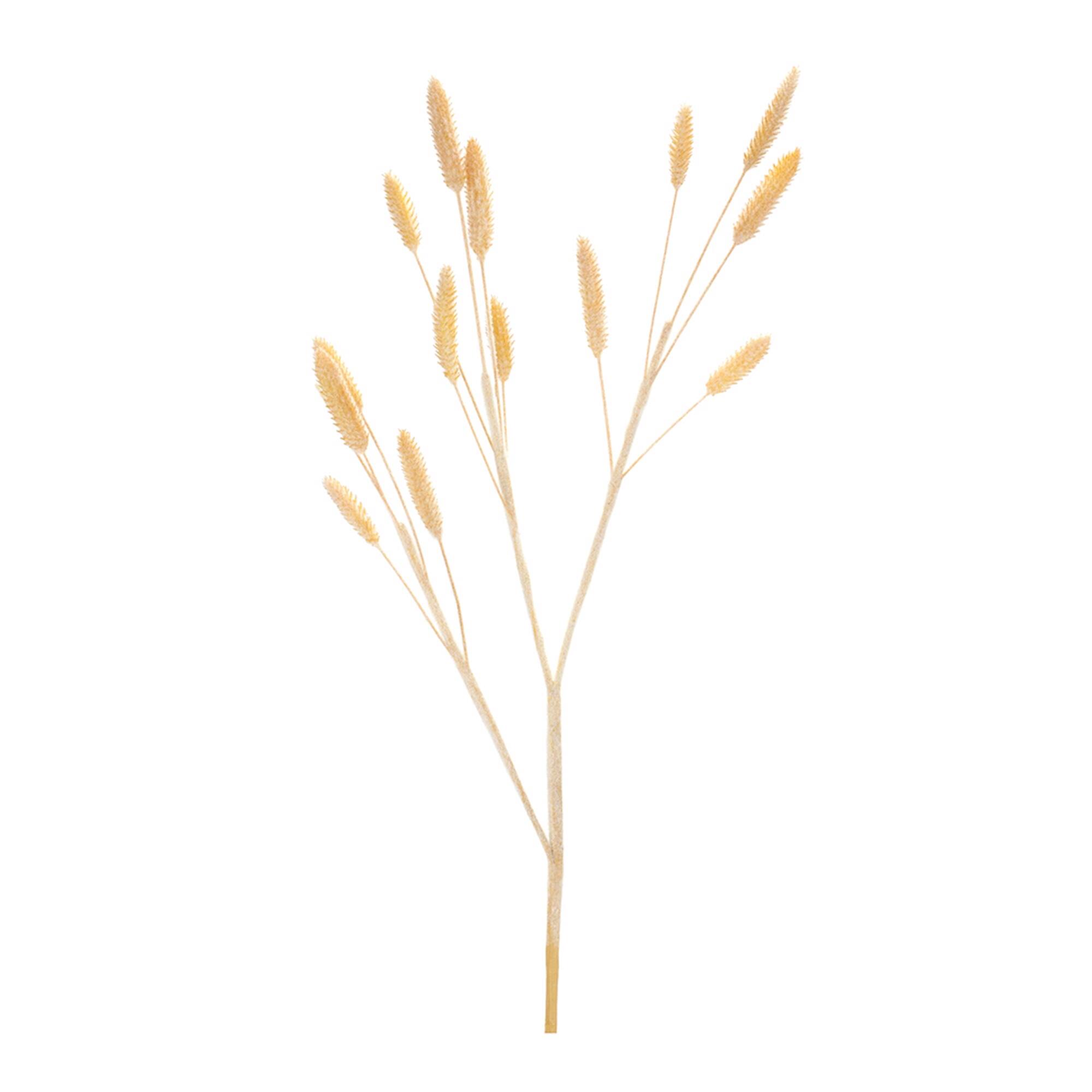 BreeBe - Bunny Tail Spray (Set of 6) - Brown