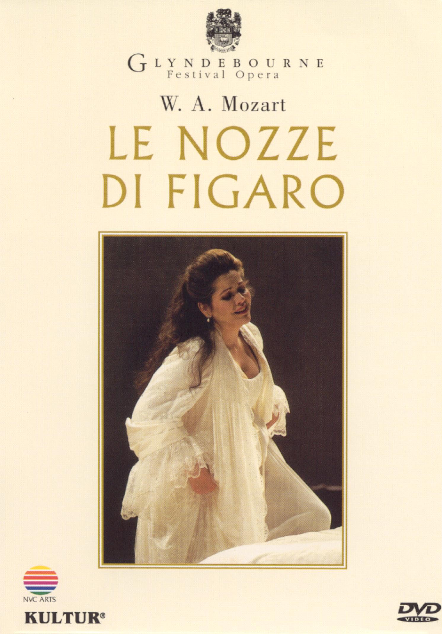Best Buy: Le Nozze di Figaro [DVD] [1994]
