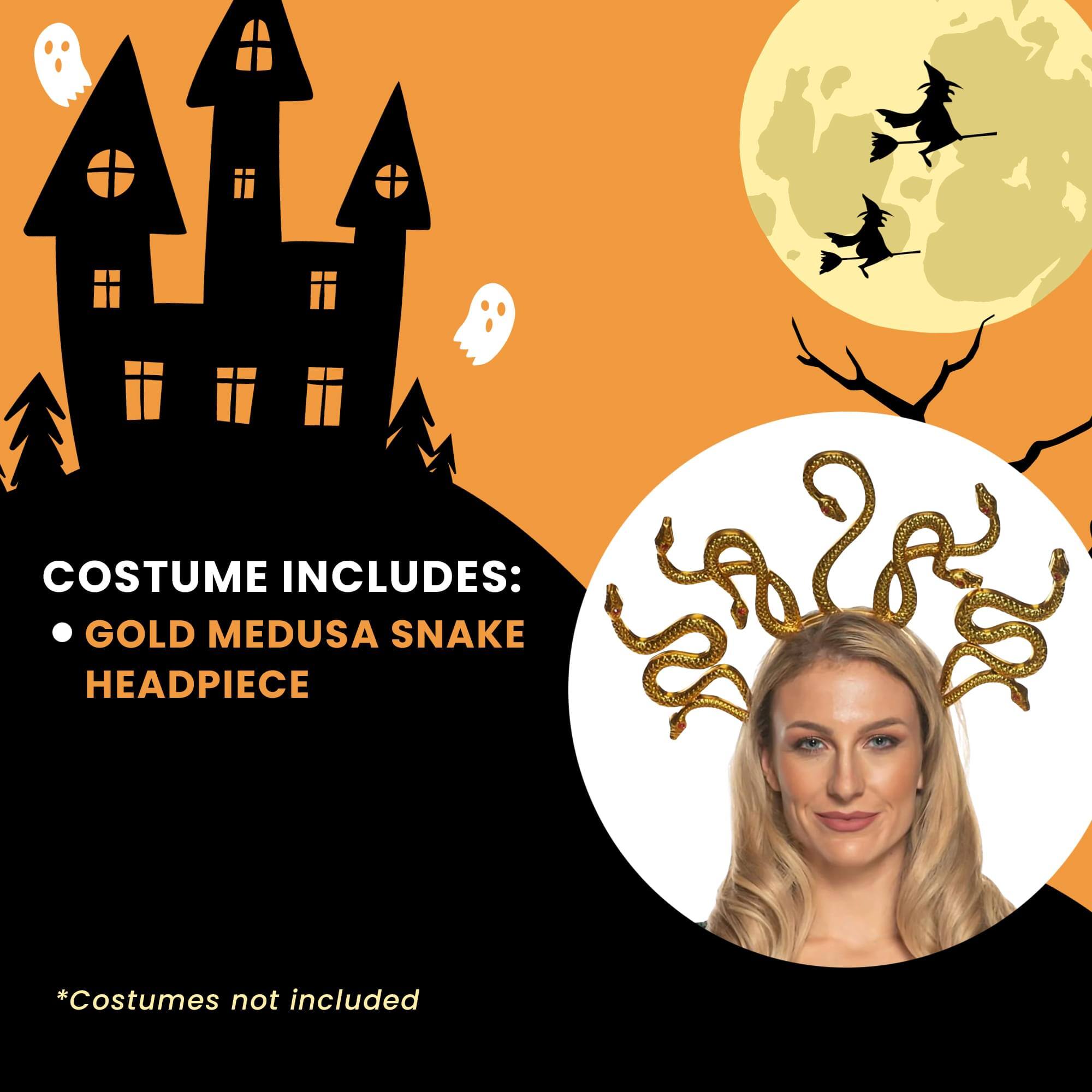 COSTUME INCLUDES:  
- GOLD MEDUSA SNAKE HEADPIECE  

*Costumes not included