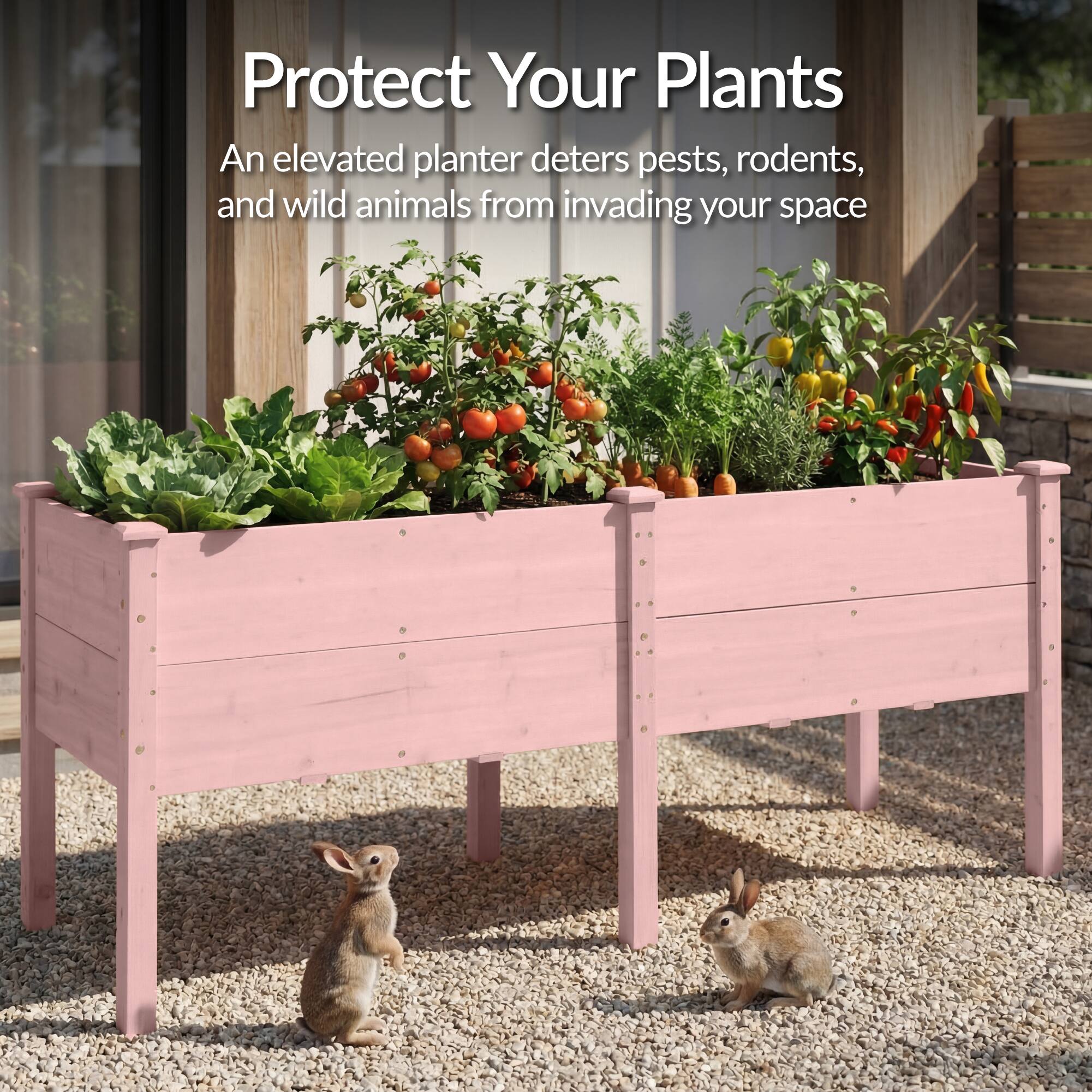 Protect Your Plants  
An elevated planter deters pests, rodents, and wild animals from invading your space