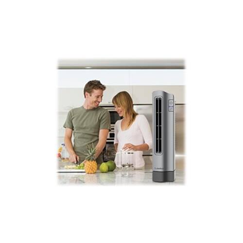 Best Buy: Lasko Air Stik 2 Personal Fan Black/gray T14401