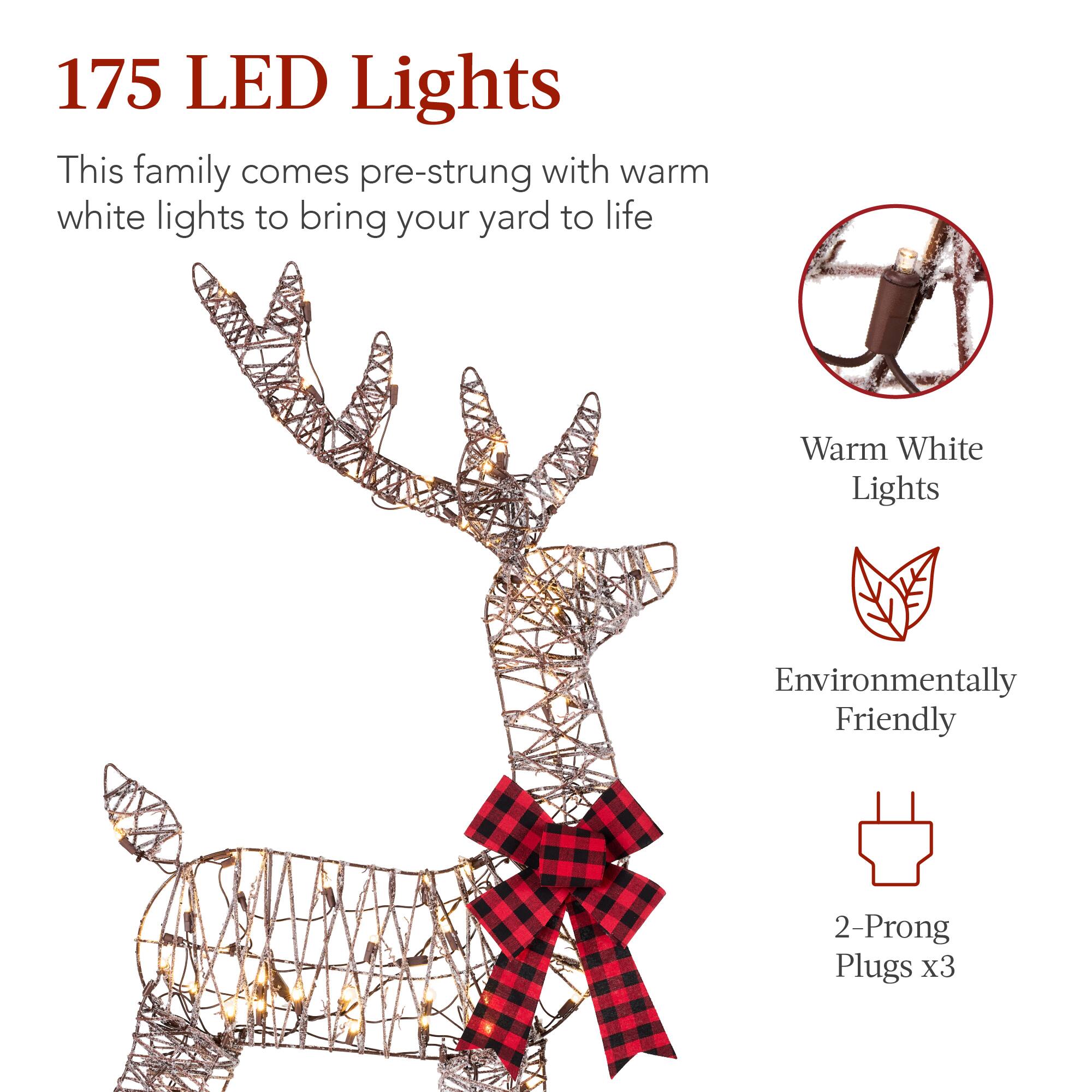 175 LED Lights

This family comes pre-strung with warm white lights to bring your yard to life

- Warm White Lights
- Environmentally Friendly
- 2-Prong Plugs x3