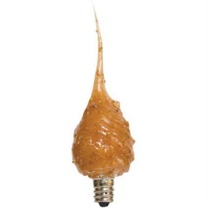 Front. BreeBe - Caramel Apple Scented Silicone Bulb - 4 Watt - Brown.