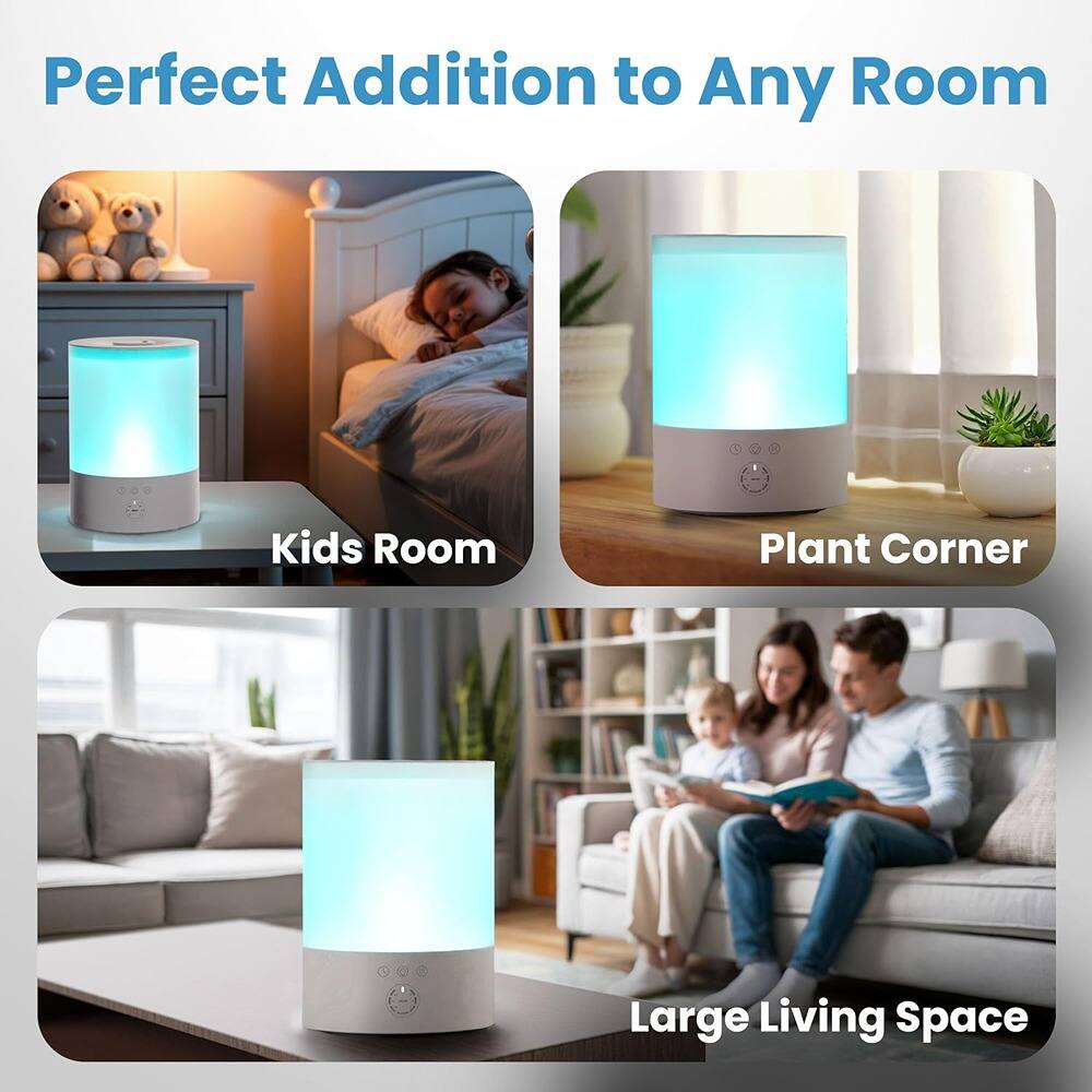 Perfect Addition to Any Room

Kids Room

Plant Corner

Large Living Space